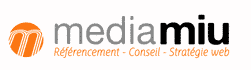 Mediamiu - consultant seo