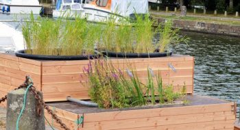 station phyto-épuration flottante