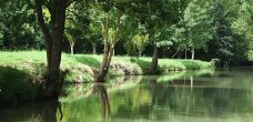 marais poitevin