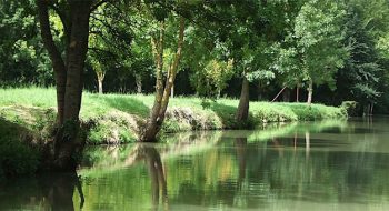 marais poitevin