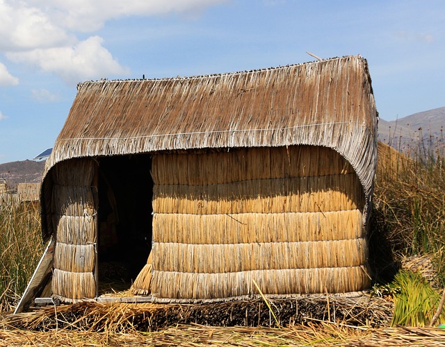 Une maison en totora